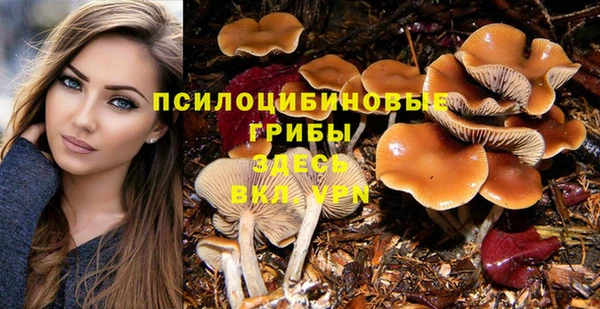 хмурый Михайлов