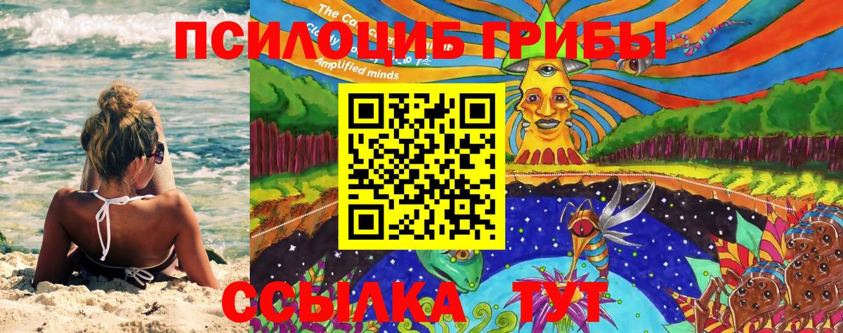 Псилоцибиновые грибы мухоморы  Галлюциногенные грибы Magic Shrooms  Богородск 