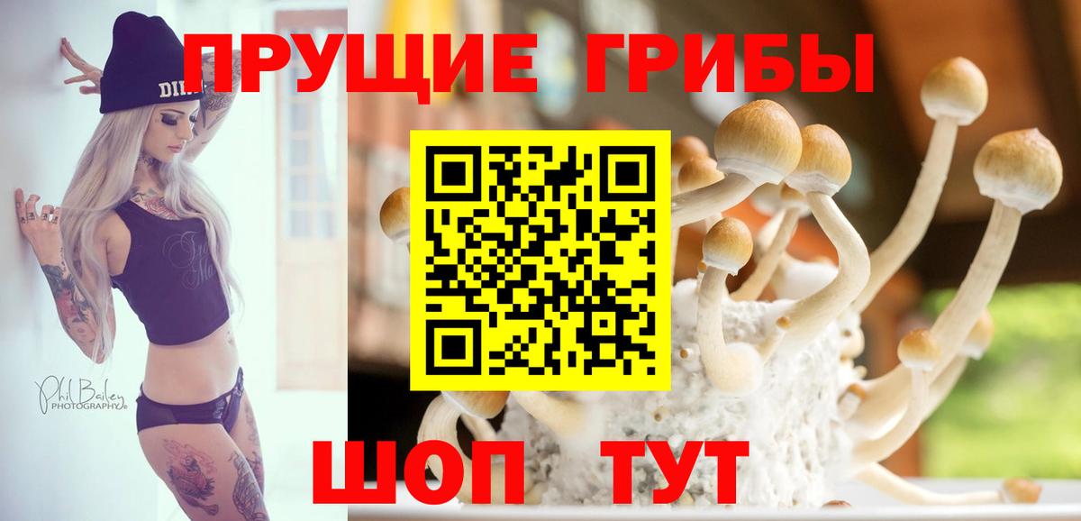 Псилоцибиновые грибы Magic Shrooms  Вход с VPN  Богородск 